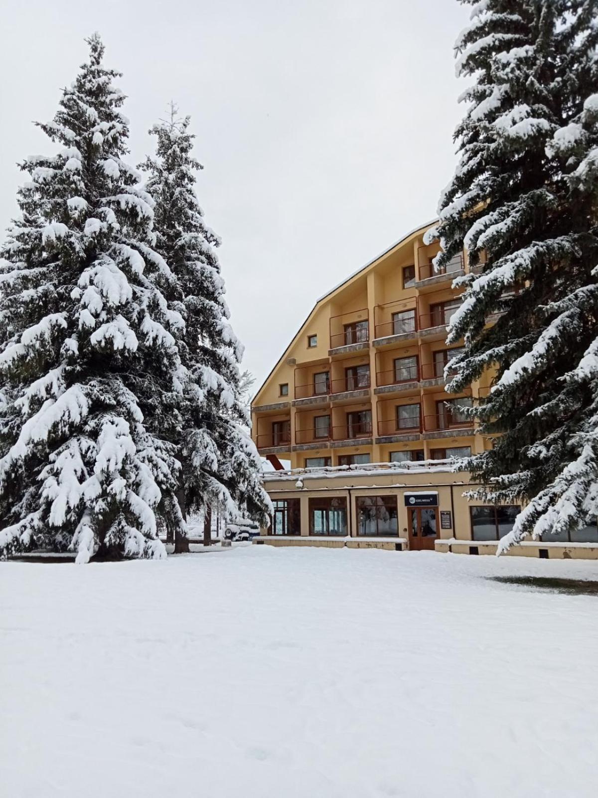 סרלר Apartamentos Snoe Edelweiss מראה חיצוני תמונה